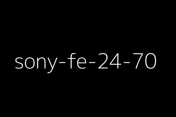 Sony FE 24-70mm f/2.8 GM Lens